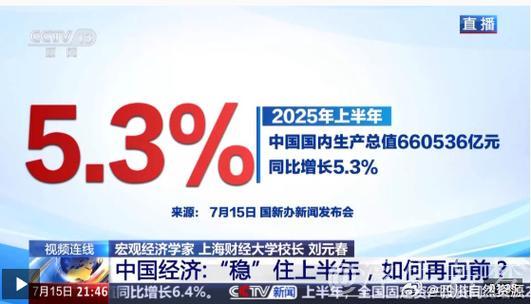 新闻1+1丨“稳”住上半年 中国经济如何再向前 新闻1+1丨“稳”住上半年 中国经济如何再向前