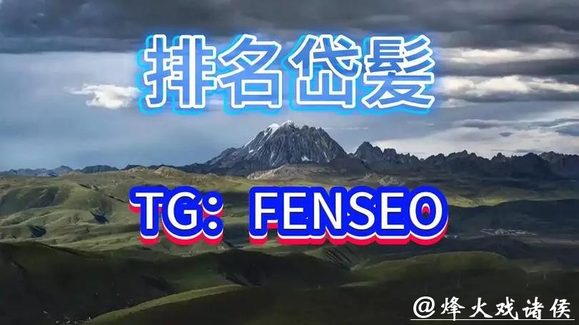 全面解析优质世界杯买球平台推荐